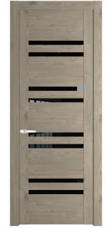 Дверь Profildoors 1.6N